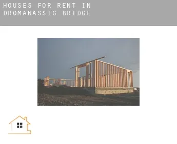 Houses for rent in  Dromanassig Bridge