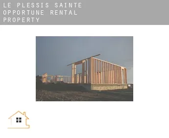 Le Plessis-Sainte-Opportune  rental property