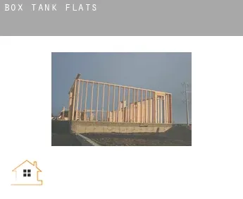 Box Tank  flats