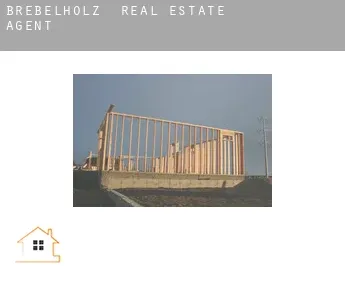 Brebelholz  real estate agent