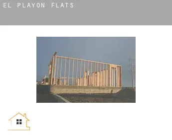 El Playón  flats