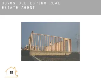 Hoyos del Espino  real estate agent