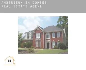 Ambérieux-en-Dombes  real estate agent