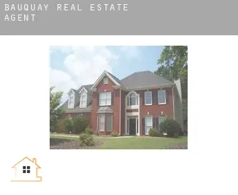 Bauquay  real estate agent