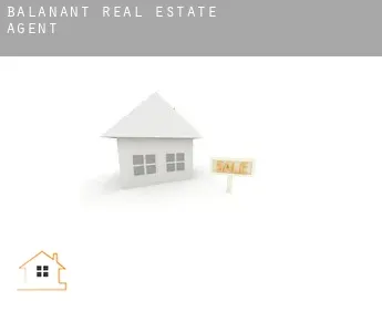 Balanant  real estate agent