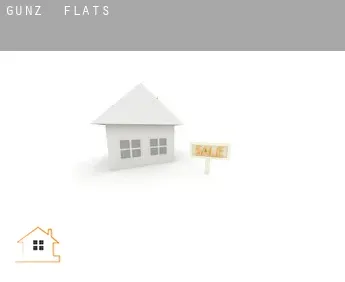 Günz  flats