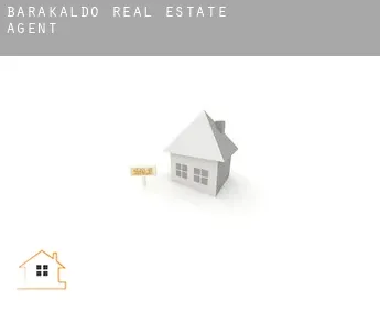 Barakaldo  real estate agent