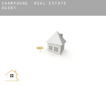 Champagne  real estate agent