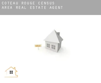 Coteau-Rouge (census area)  real estate agent