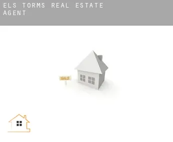 Els Torms  real estate agent