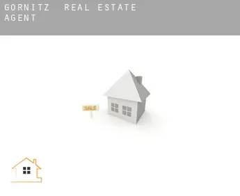 Görnitz  real estate agent