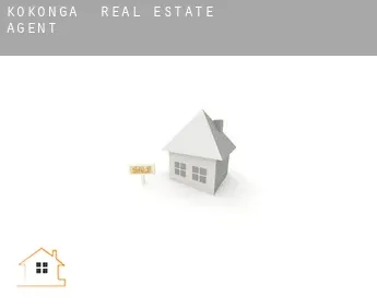 Kokonga  real estate agent