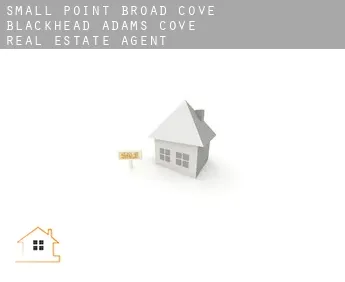 Small Point-Broad Cove-Blackhead-Adams Cove  real estate agent