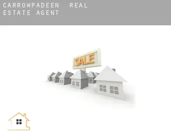 Carrowpadeen  real estate agent