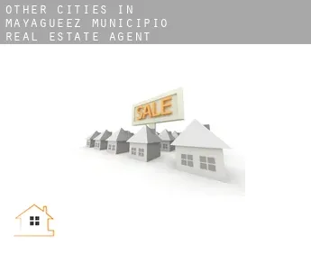 Other cities in Mayagueez Municipio  real estate agent