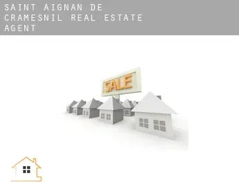 Saint-Aignan-de-Cramesnil  real estate agent