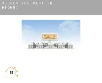 Houses for rent in  Etowri