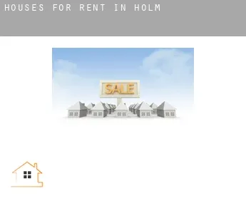 Houses for rent in  Holm