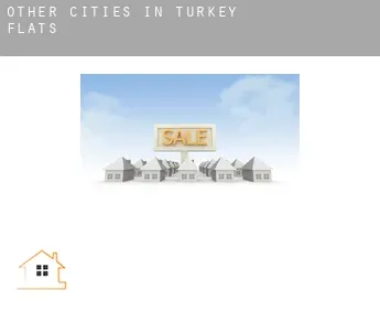 Other cities in Turkey  flats