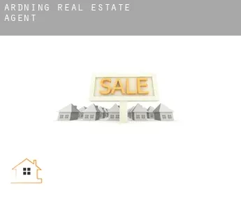 Ardning  real estate agent