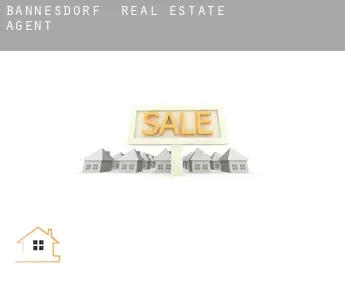 Bannesdorf  real estate agent