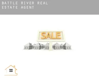 Battle River  real estate agent