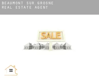 Beaumont-sur-Grosne  real estate agent