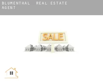 Blumenthal  real estate agent