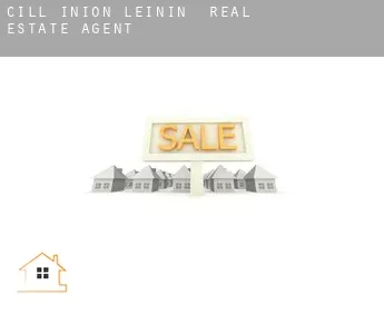 Cill Iníon Léinín  real estate agent