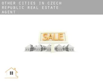 Other cities in Czech Republic  real estate agent