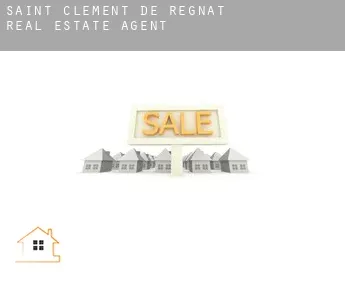 Saint-Clément-de-Régnat real estate agent