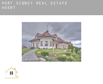 Port Sidney  real estate agent