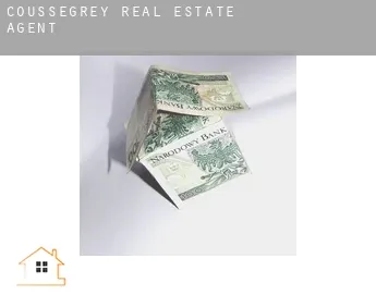 Coussegrey  real estate agent