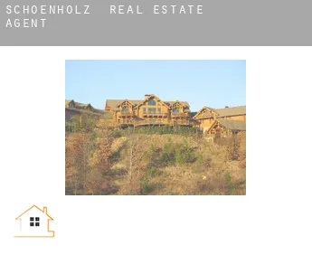 Schoenholz  real estate agent