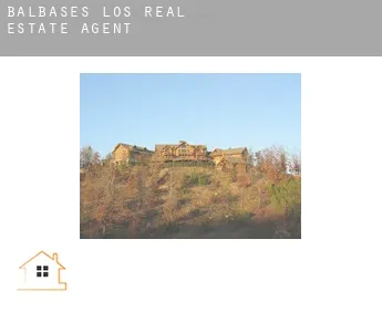 Balbases (Los)  real estate agent