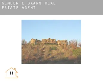 Gemeente Baarn  real estate agent