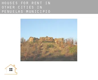 Houses for rent in  Other cities in Penuelas Municipio