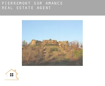 Pierremont-sur-Amance  real estate agent