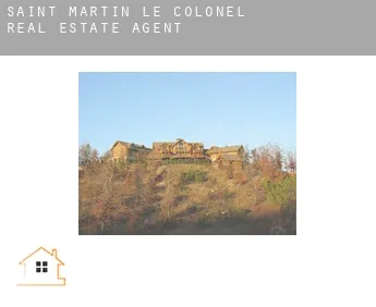 Saint-Martin-le-Colonel  real estate agent