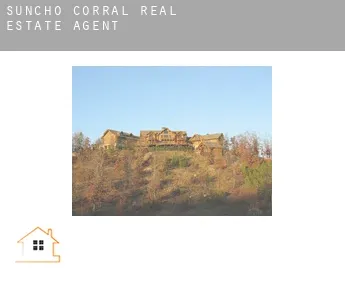 Suncho Corral  real estate agent