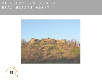 Villiers-les-Oudets  real estate agent