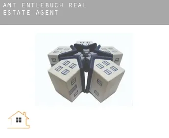 Amt Entlebuch  real estate agent