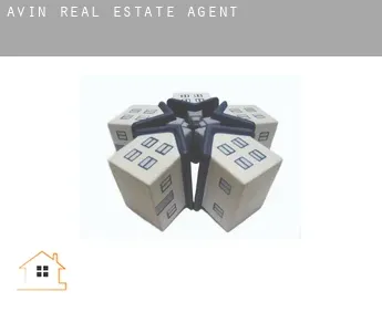 Avin  real estate agent