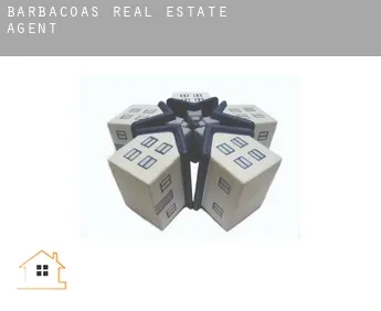 Barbacoas  real estate agent