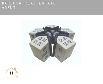 Barbosa  real estate agent