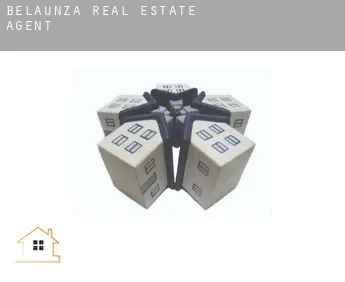 Belauntza  real estate agent