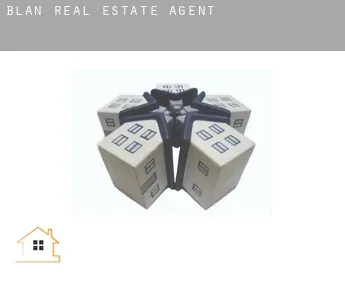 Blan  real estate agent