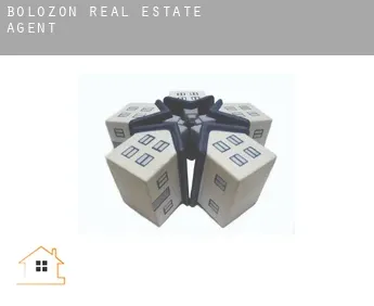 Bolozon  real estate agent