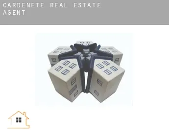 Cardenete  real estate agent