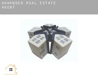 Hawangen  real estate agent